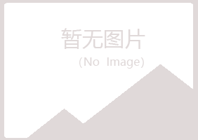 察雅县初夏能源有限公司